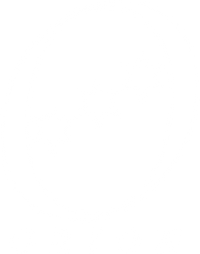 Orion BSG